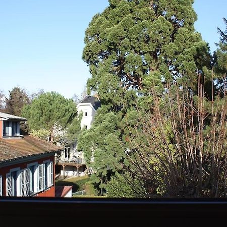 Superb Apt- Garden- 3 parkings, near Petite Venise ! Colmar Exterior foto