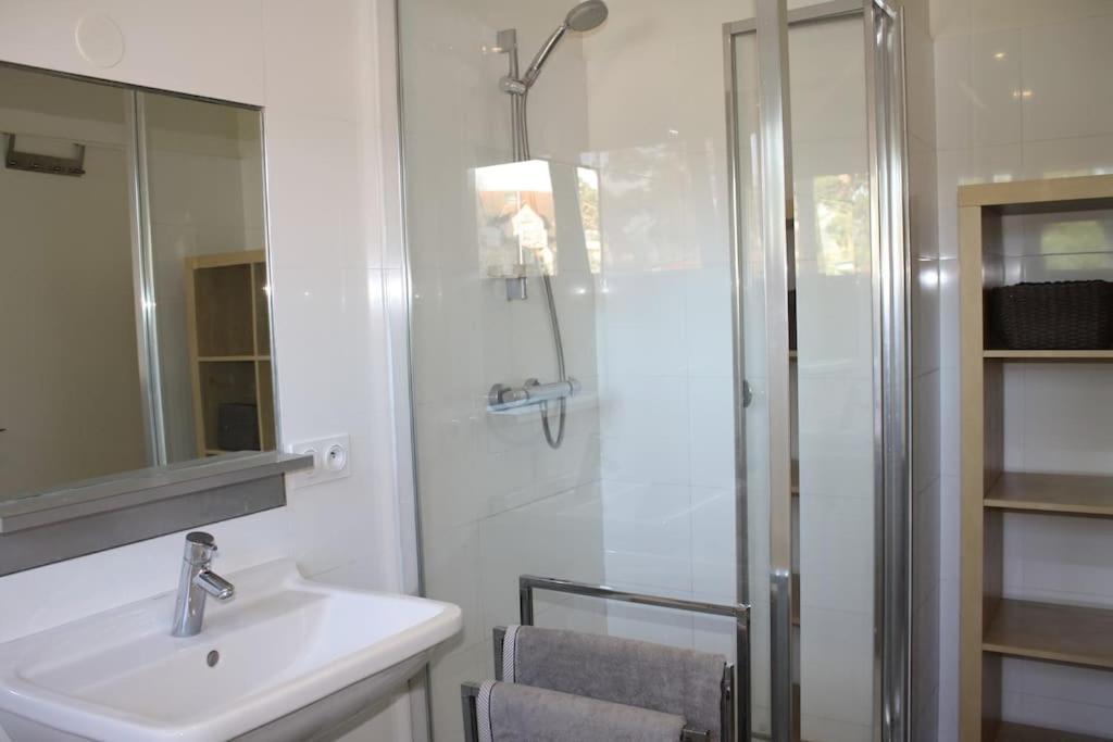 Superb Apt- Garden- 3 parkings, near Petite Venise ! Colmar Exterior foto