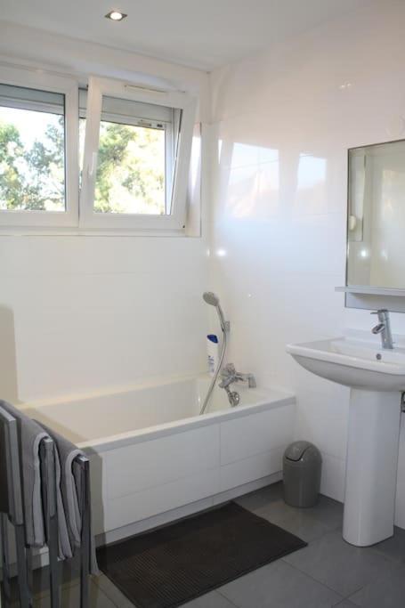 Superb Apt- Garden- 3 parkings, near Petite Venise ! Colmar Exterior foto
