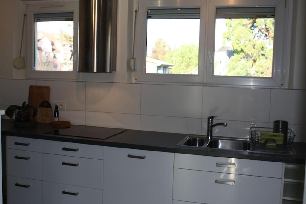 Superb Apt- Garden- 3 parkings, near Petite Venise ! Colmar Exterior foto
